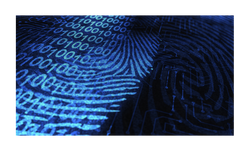 digital forensics services
